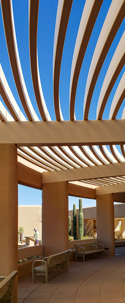 Saguaro National Park, Arizona